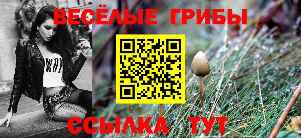 Псилоцибиновые грибы Cubensis  Вход с VPN  Мурманск  Галлюциногенные грибы Magic Shrooms 